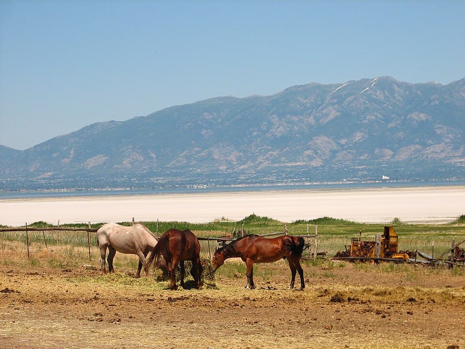 A weathered frontier landscape evoking the Garr family's journey from Bavaria to the Utah territory